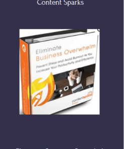Eliminate Business Overwhelm (Blaze Package) Program By Content Sparks