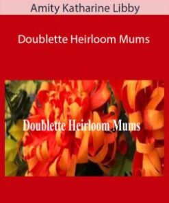 Amity Katharine Libby – Doublette Heirloom Mums