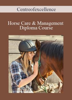 Centreofexcellence – Horse Care & Management Diploma Course