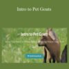 Deborah Niemann Intro to Pet Goats 250x343 1 » Courses[GB]