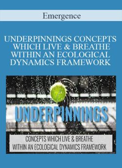 Emergence – UNDERPINNINGS CONCEPTS WHICH LIVE & BREATHE WITHIN AN ECOLOGICAL DYNAMICS FRAMEWORK