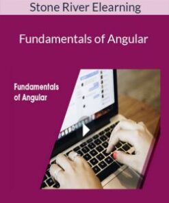 Stone River Elearning – Fundamentals of Angular