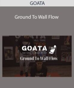 GOATA – Ground To Wall Flow