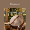 Hemi Sync Dreamseed 250x343 1 » Courses[GB]