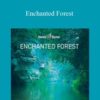 Hemi Sync Enchanted Forest 250x343 1 » Courses[GB]