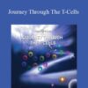 Hemi Sync Journey Through The T Cells 250x343 1 » Courses[GB]