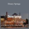 LJ Johnson – Disney Springs