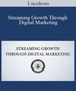 Lucidious – Streaming Growth Through Digital Marketing