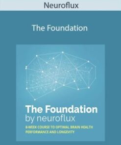 Neuroflux – The Foundation