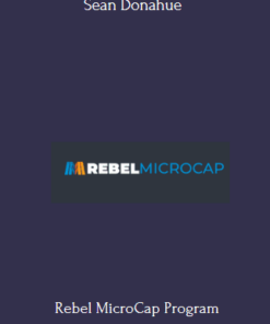 Rebel MicroCap Program With Sean Donahue