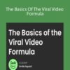 Smile Squad The Basics Of The Viral Video Formula 250x343 1 » Courses[GB]