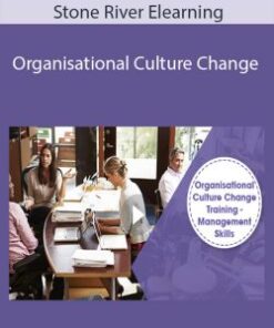 Stone River Elearning – Organisational Culture Change