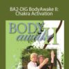 Sue Morter BA2 DIG BodyAwake II Chakra Activation 250x343 1 » Courses[GB]
