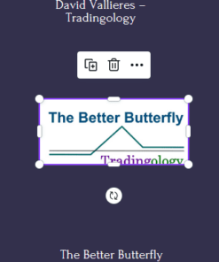 The Better Butterfly Course With David Vallieres – Tradingology