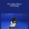 The Collar Sleeve Anthology Dan Lukehart 1 250x343 1 » Courses[GB]