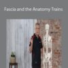 Tom Myers Fascia and the Anatomy Trains 250x343 1 » Courses[GB]