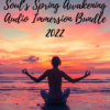 Souls Spring Awakening Audio Immersion Bundle 2022 by Andrew Harvey » Courses[GB]