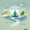 The 21 Day Conscious Cleanse By Dr. Shefali & Suzi Lula