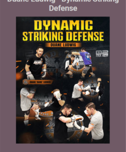 Duane Ludwig – Dynamic Striking Defense